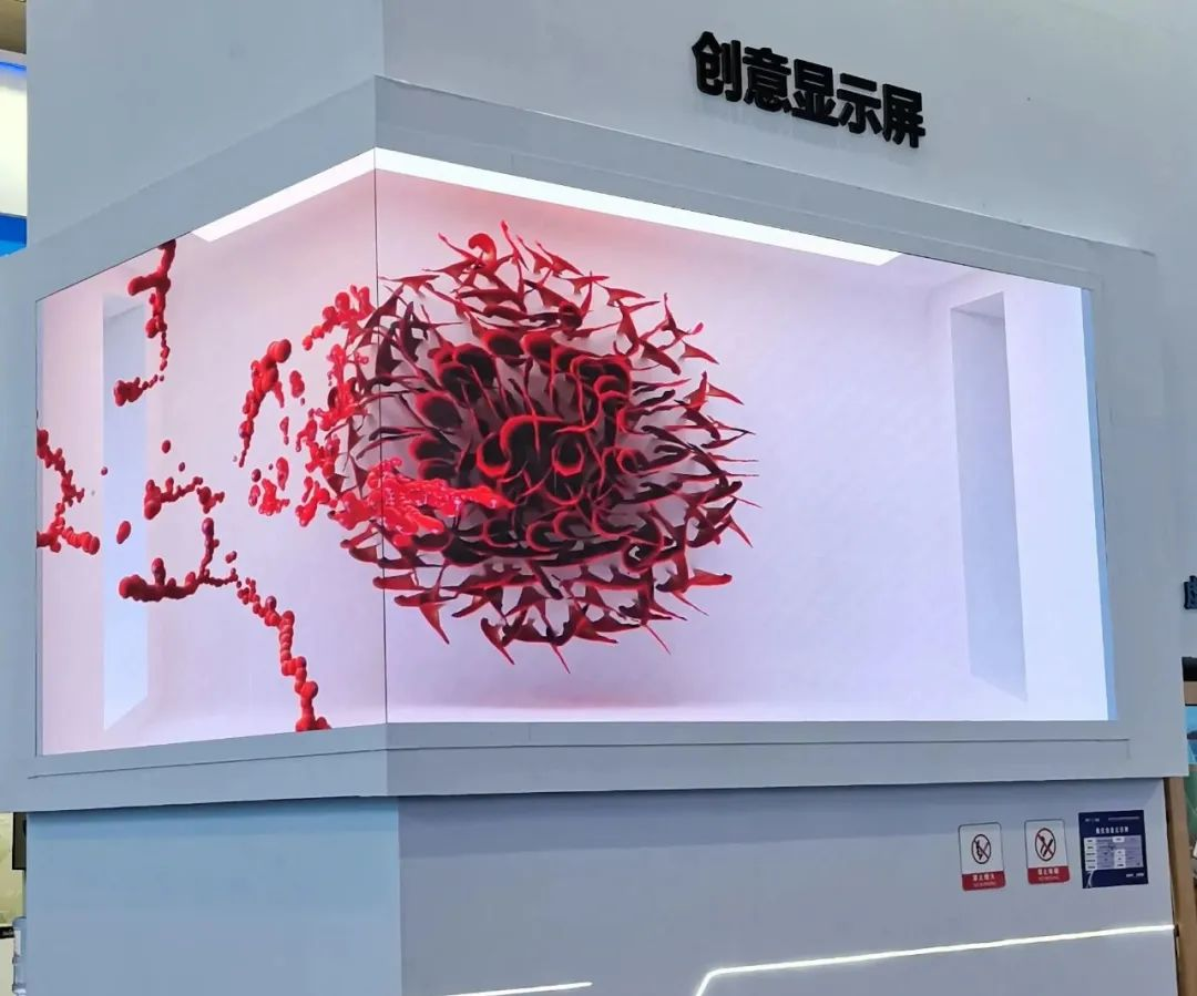 惊艳亮相南博会 | xcsport体育打造视觉盛宴