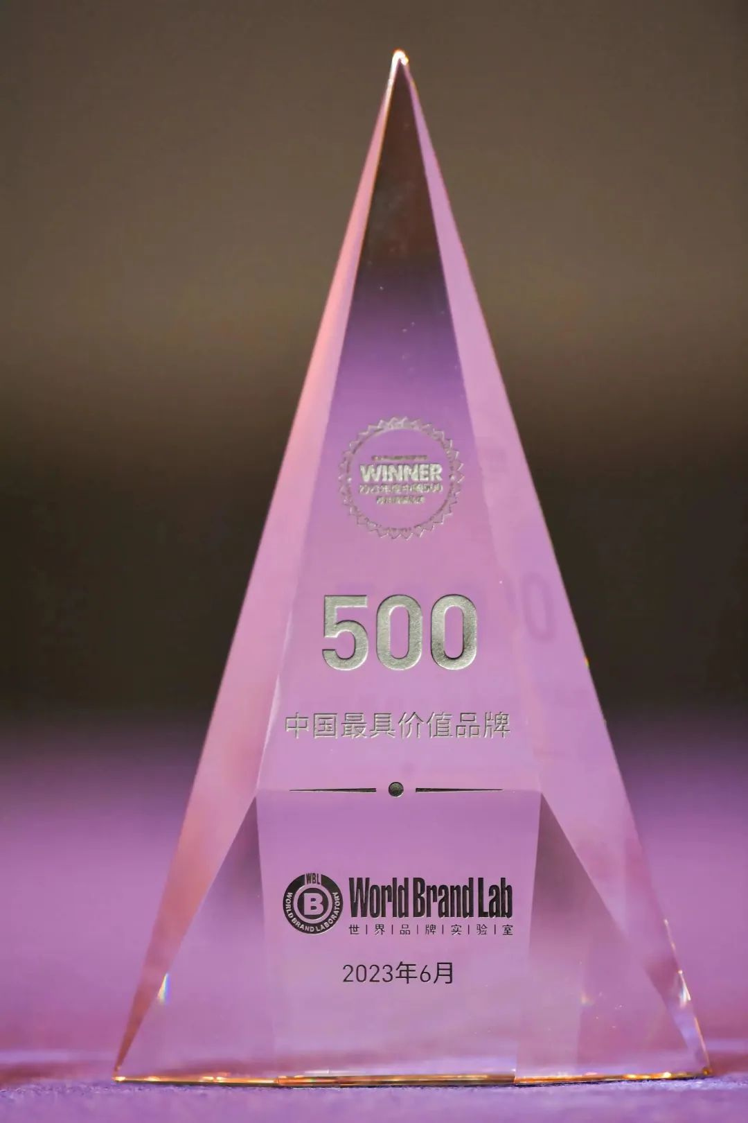 权威认证 xcsport体育入选中国500最具价值品牌