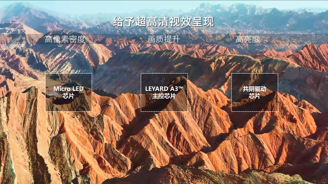 xcsport体育TX平台