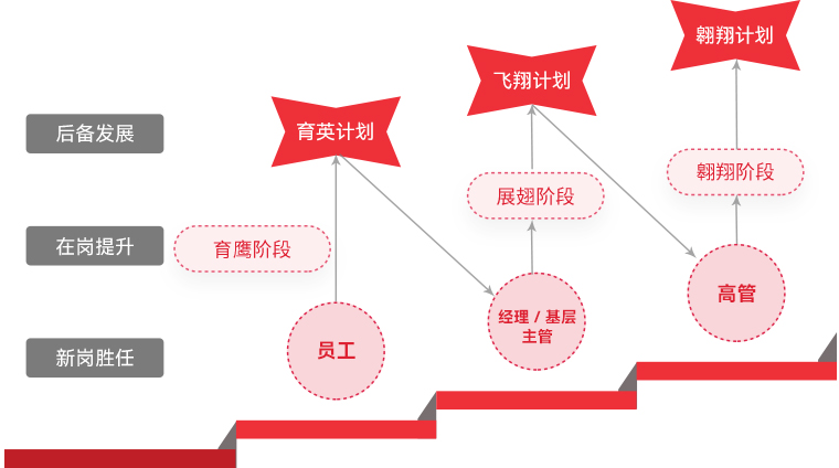 xcsport体育 "雄鹰计划"人才梯队培养